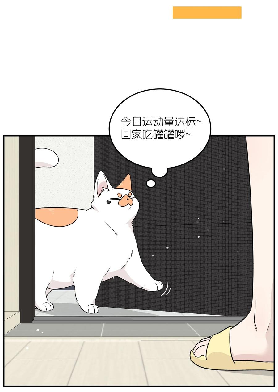 我的食物看起来很可爱 146 朋友……（含联动抽奖） 第26页