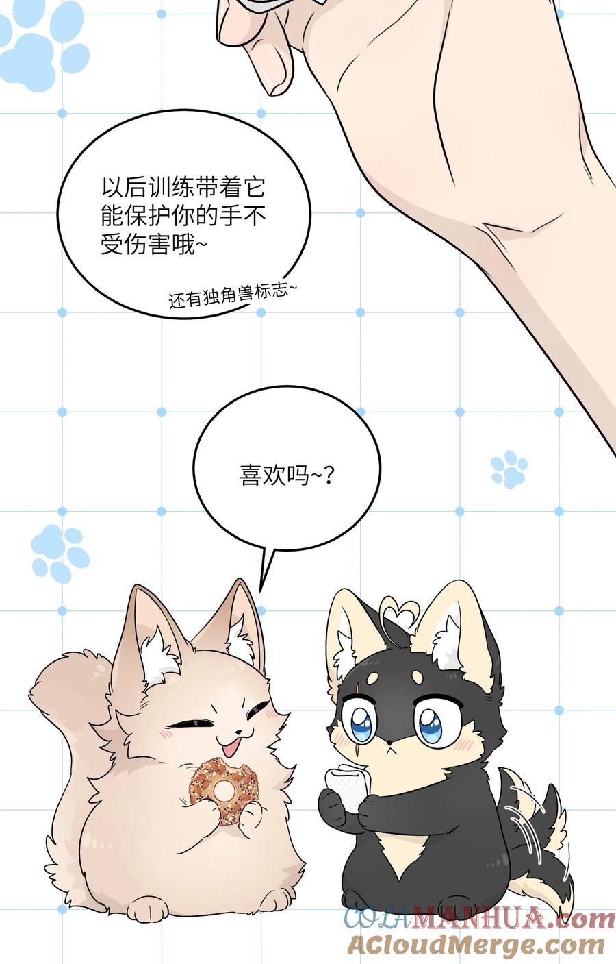 我的食物看起来很可爱 148 伞下 第19页