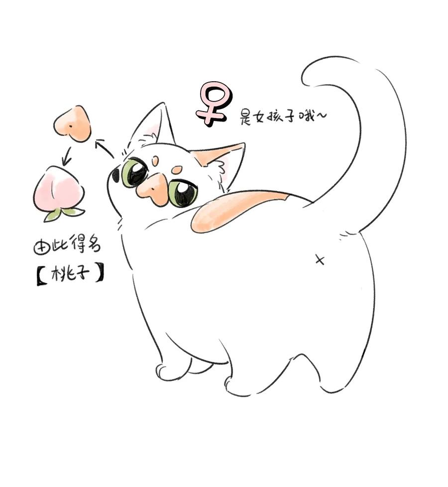 我的食物看起来很可爱 153 叹气二人组 第45页