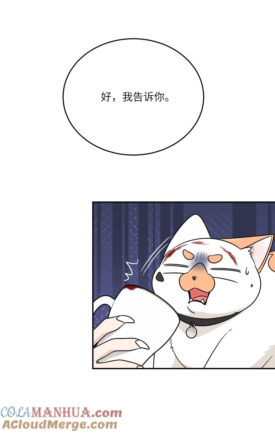 我的食物看起来很可爱 164 觉醒的方法 第25页