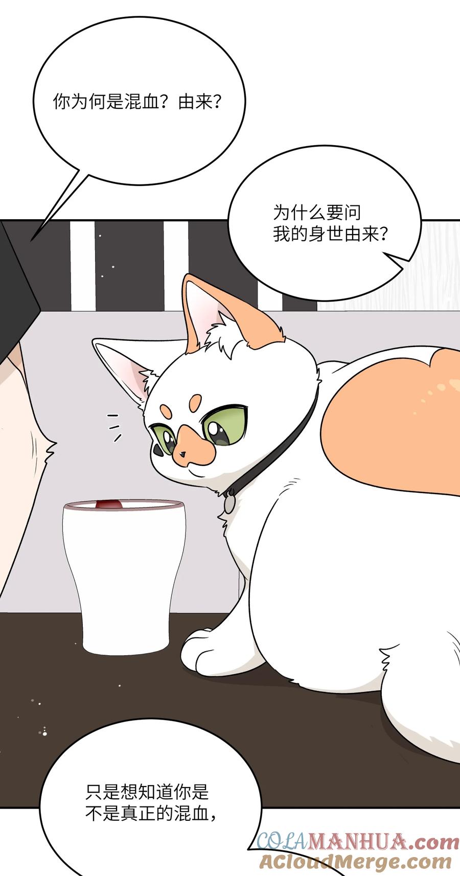 我的食物看起来很可爱 164 觉醒的方法 第22页