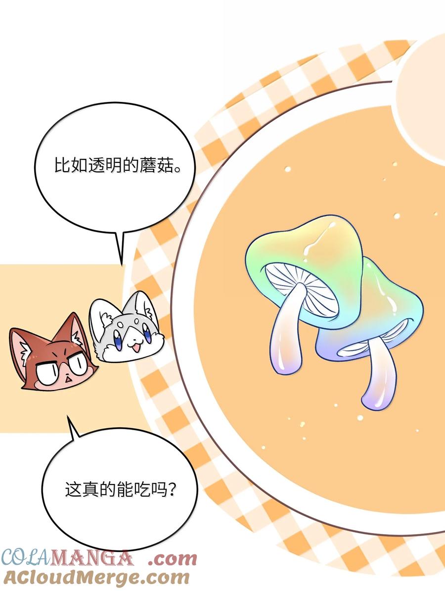 我的食物看起来很可爱 185 不可以！ 第19页