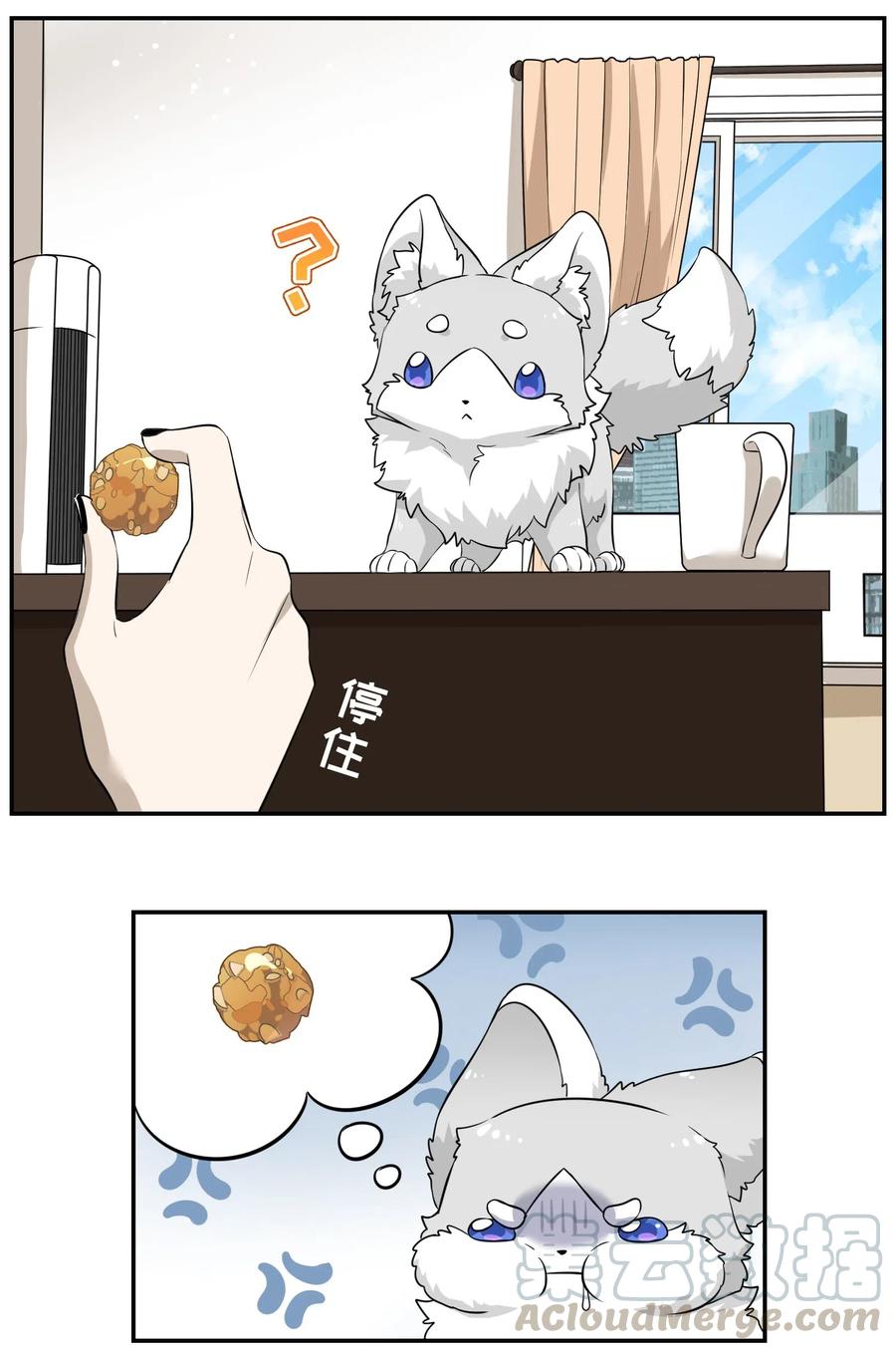 我的食物看起来很可爱 035 小可爱~ 第10页