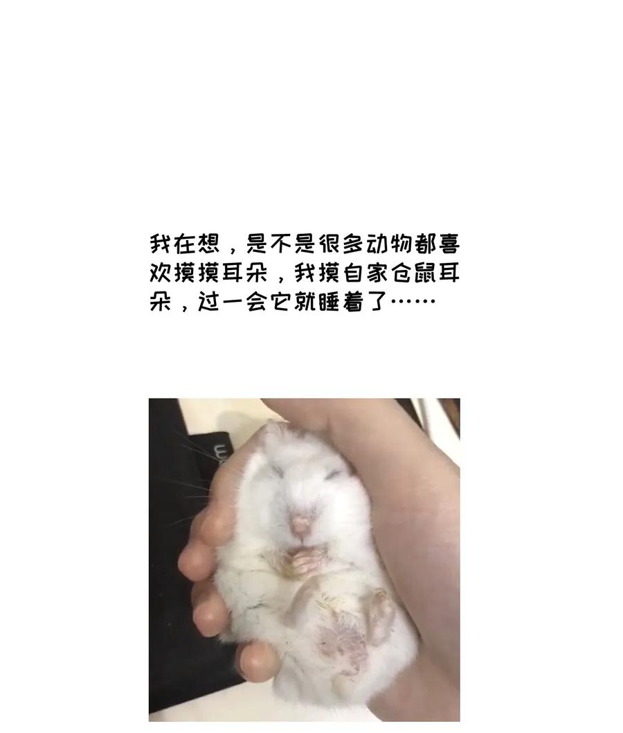 我的食物看起来很可爱 051 其实是担心你 第34页