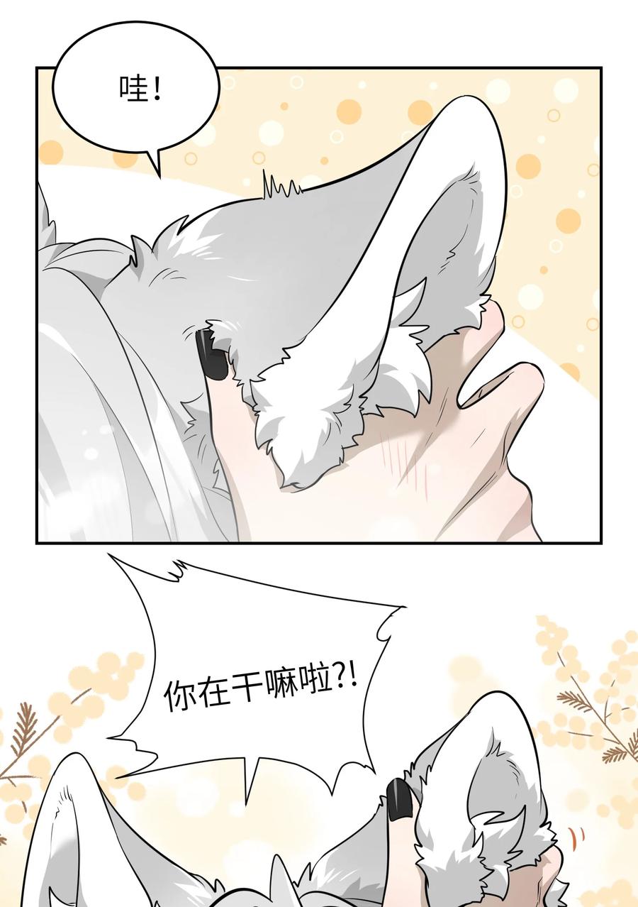 我的食物看起来很可爱 065 你梦到了什么好事？ 第6页