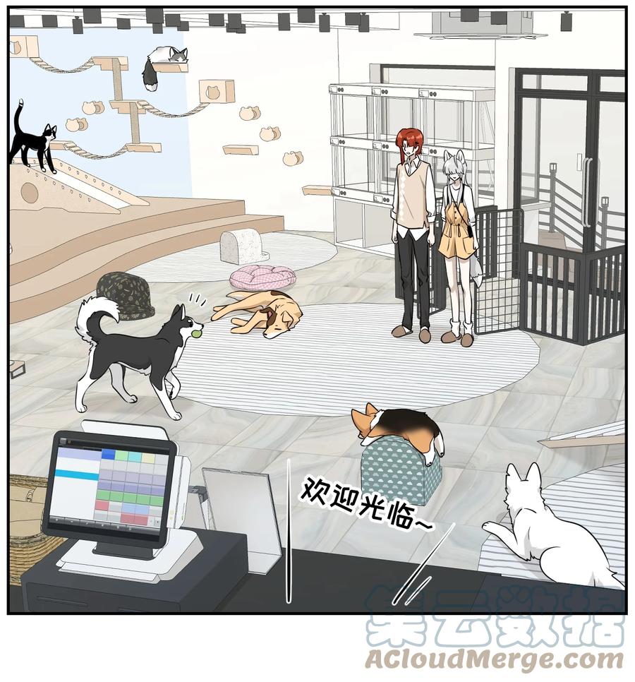我的食物看起来很可爱 066 我们可以一起…… 第33页