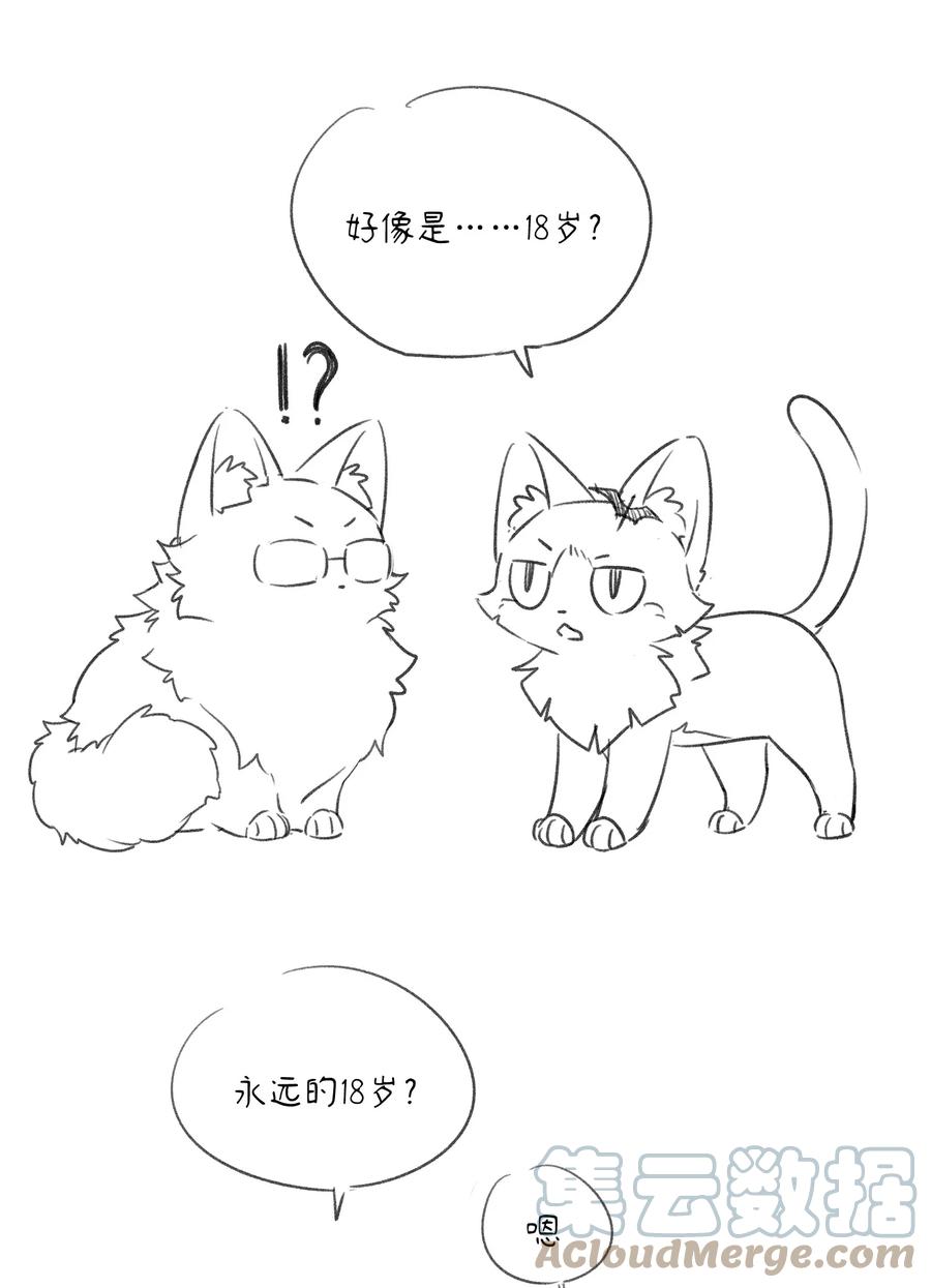 我的食物看起来很可爱 071 我相信你是个好人 第41页