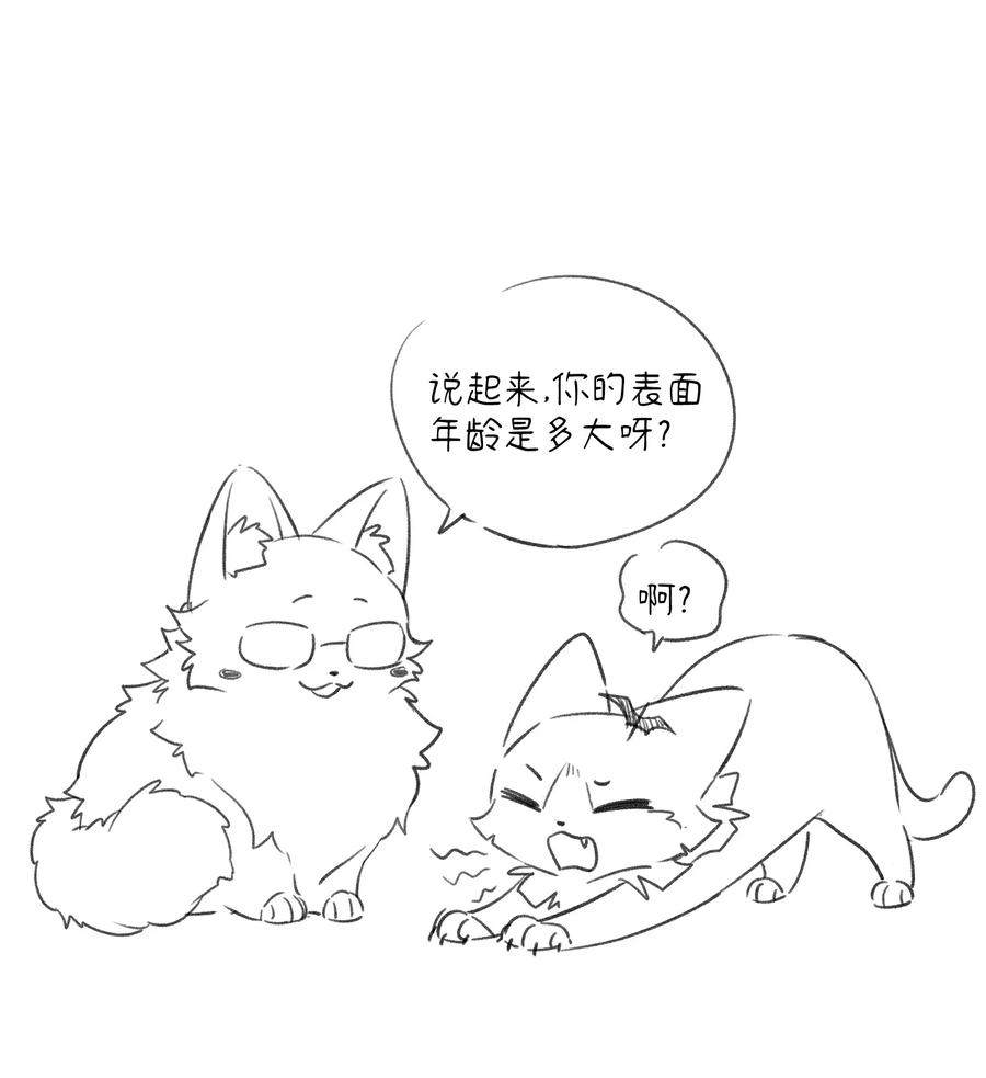 我的食物看起来很可爱 071 我相信你是个好人 第40页