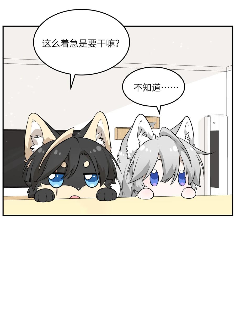 我的食物看起来很可爱 083 决心 第10页