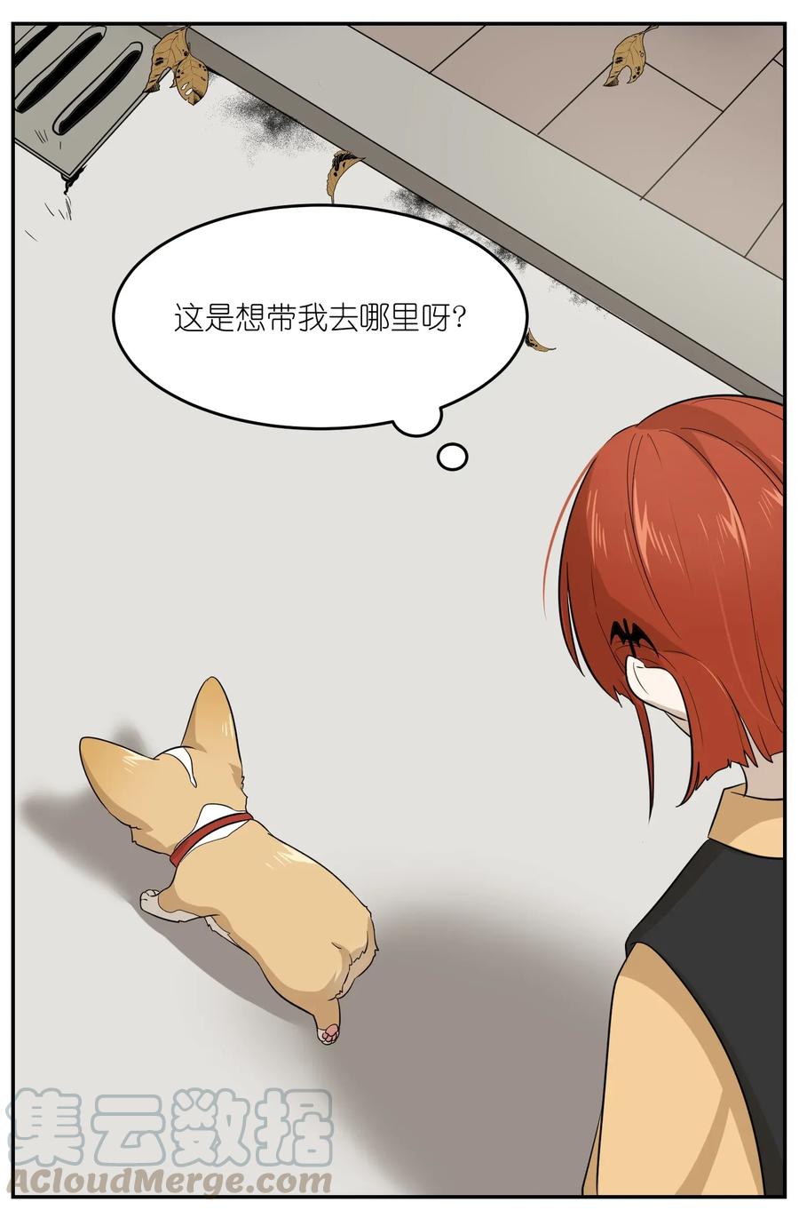我的食物看起来很可爱 008 走散 第16页