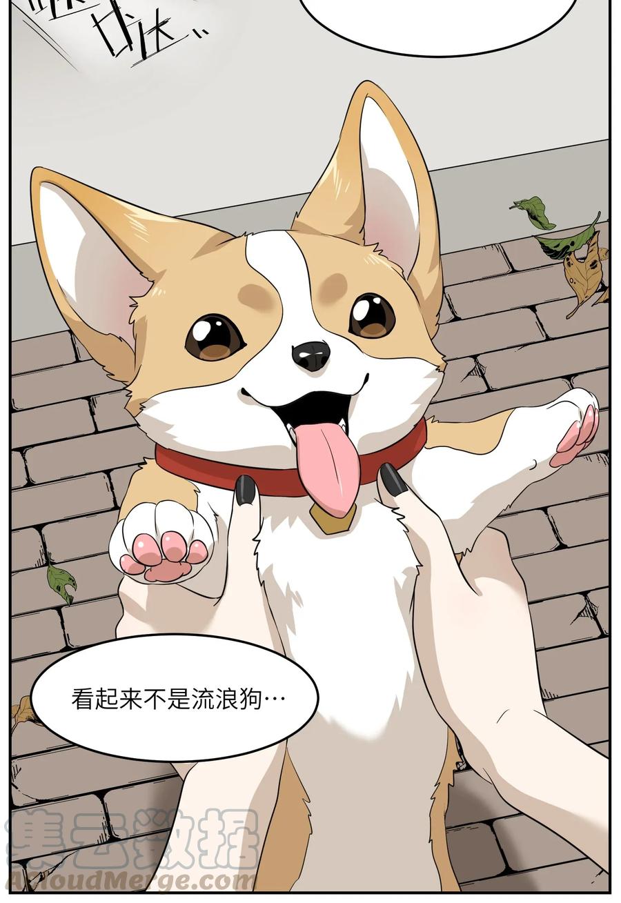 我的食物看起来很可爱 008 走散 第28页