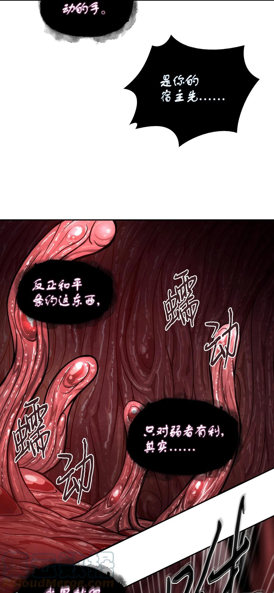 《我独自盗墓》314 倔强的蜘蛛 第4页