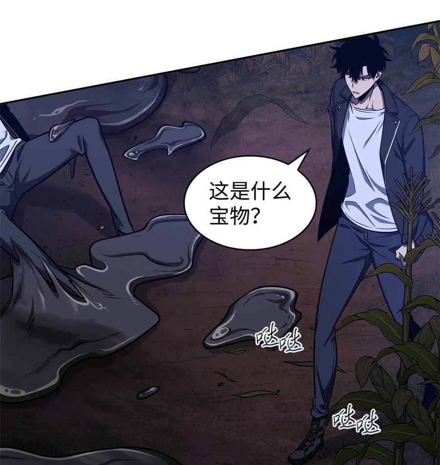 《我独自盗墓》331 通行证 第36页