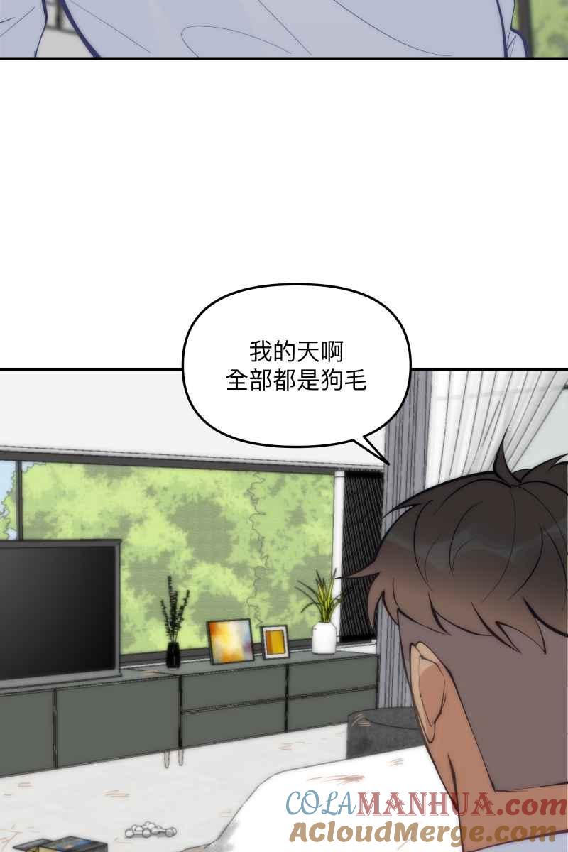 《我的室友帅哥学长》第62话 新员加入 第13页