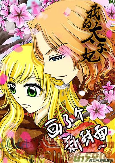 《我的太子妃》22 尘埃落定（一） 第4页
