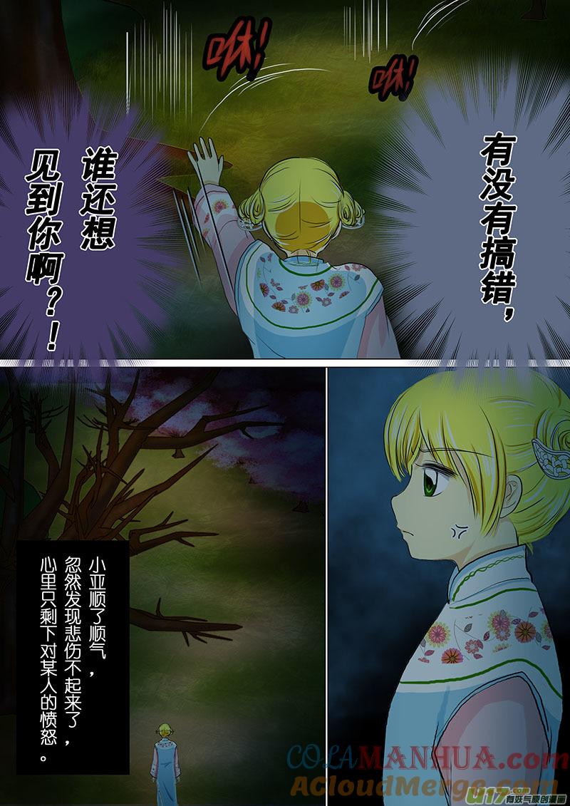 《我的太子妃》07 异国使者（四） 第9页
