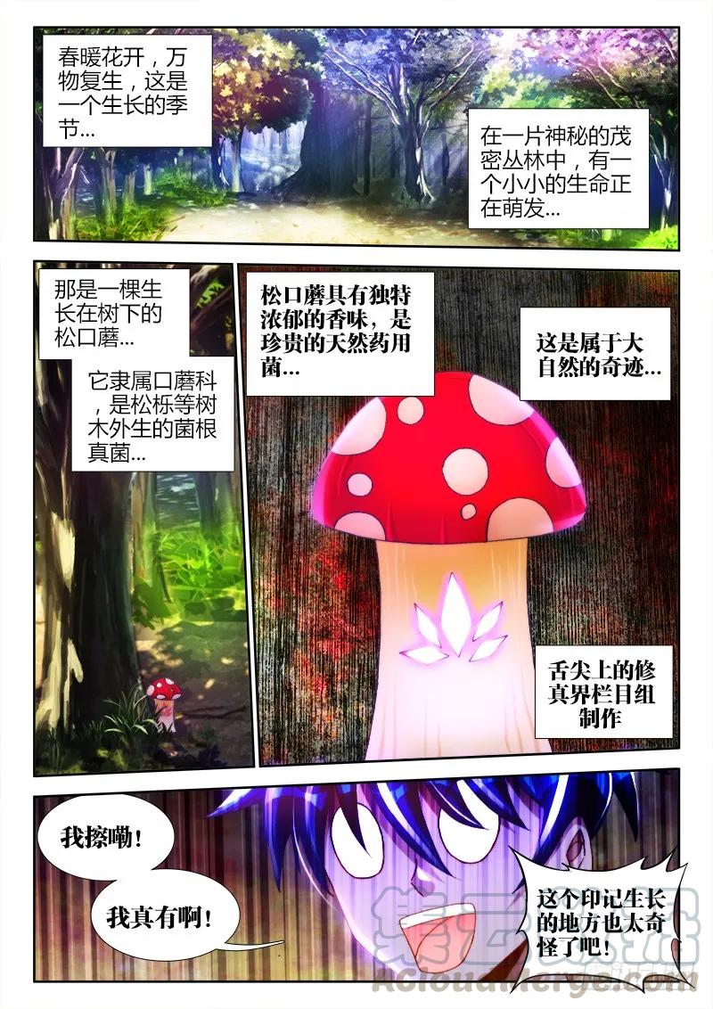 《我的天劫女友》112、舌尖上的修真界 第5页