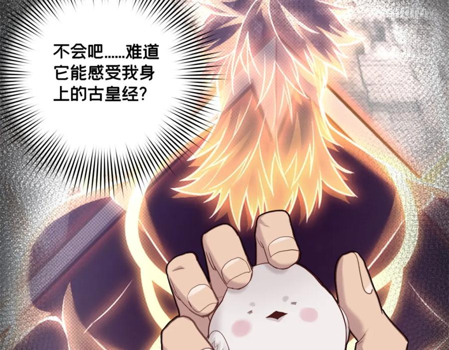 我只想安静地打游戏 124 凤凰？ 第29页