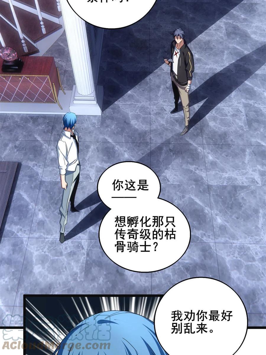 我只想安静地打游戏 28 融合伴生宠 第13页