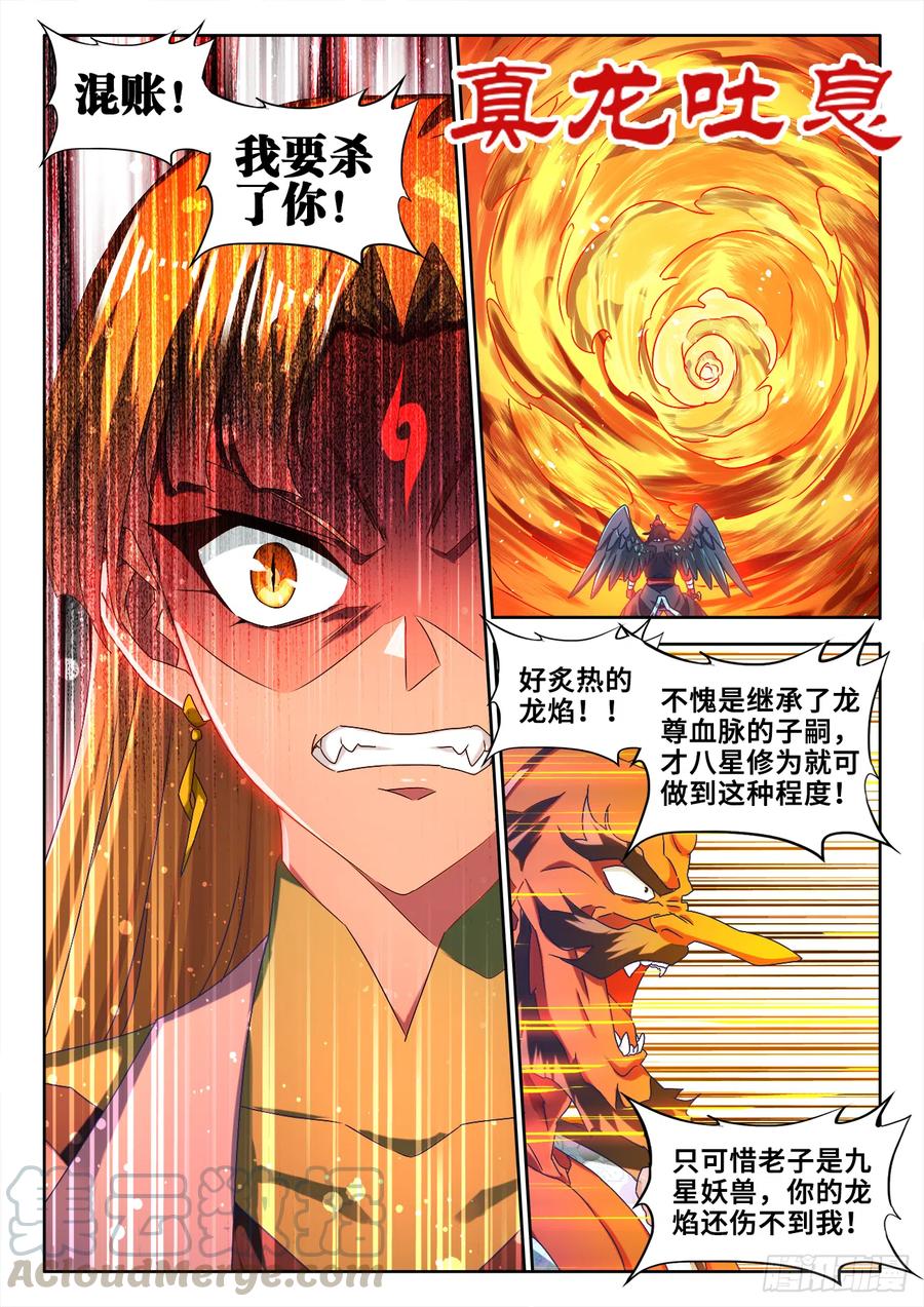 《我的天劫女友》608、飞盘 第7页