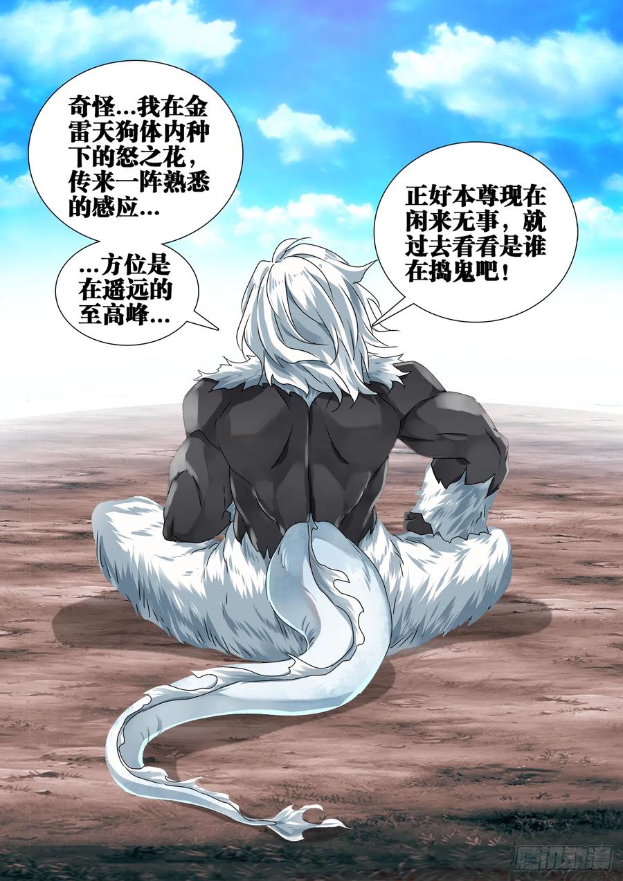 《我的天劫女友》608、飞盘 第12页