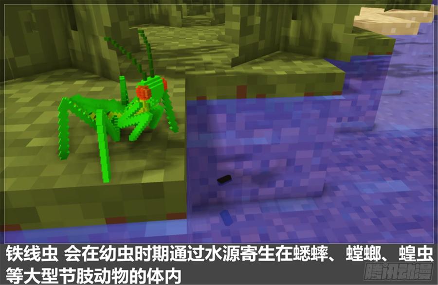 《我的世界：晨曦传记番外》摄影棚日常07 第51页