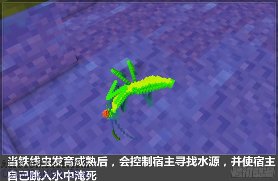 《我的世界：晨曦传记番外》摄影棚日常07 第52页