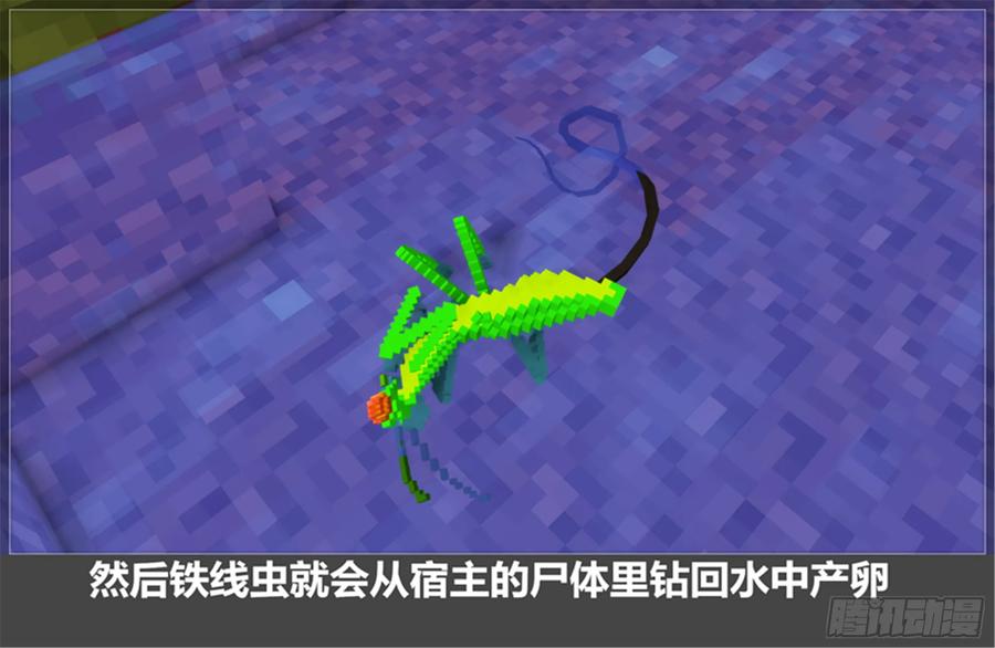《我的世界：晨曦传记番外》摄影棚日常07 第53页