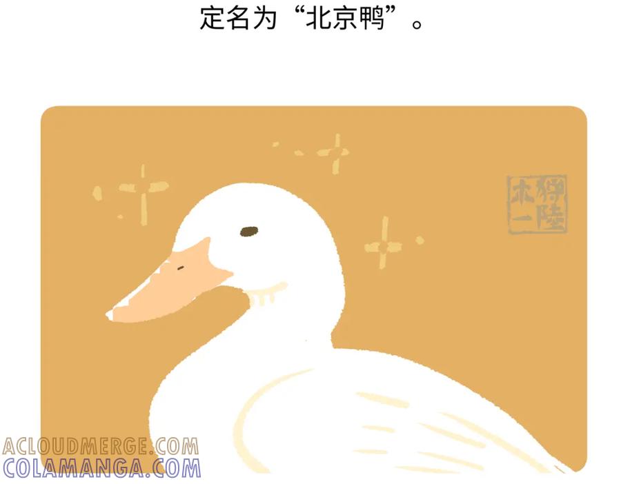 《胖达x胖达》第267话 第25页