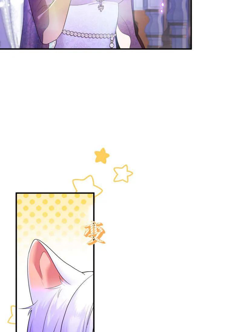 成为苏尔坦珍爱的猫咪 第71话 第54页