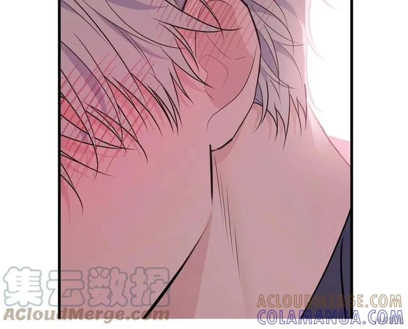 《明明是冷美人小姐却变成了忠犬大少爷》第77话 第193页