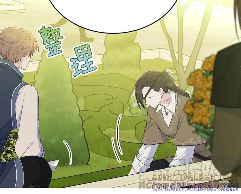 《明明是冷美人小姐却变成了忠犬大少爷》第78话 第85页