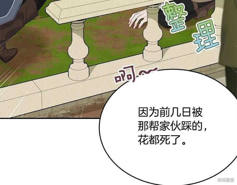 《明明是冷美人小姐却变成了忠犬大少爷》第78话 第86页
