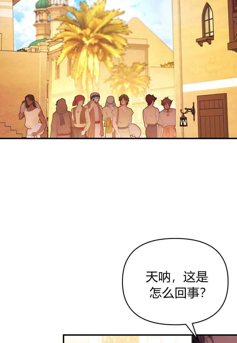 成为苏尔坦珍爱的猫咪 第67话 第37页