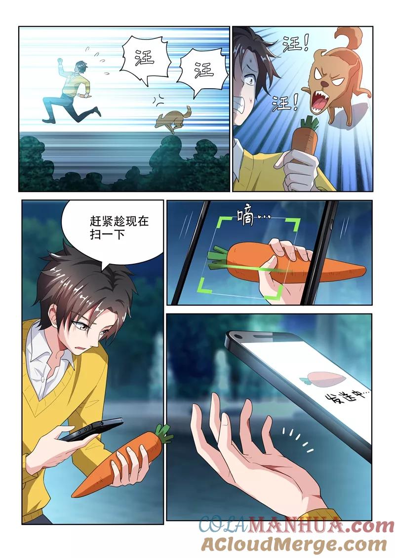 4.jpg