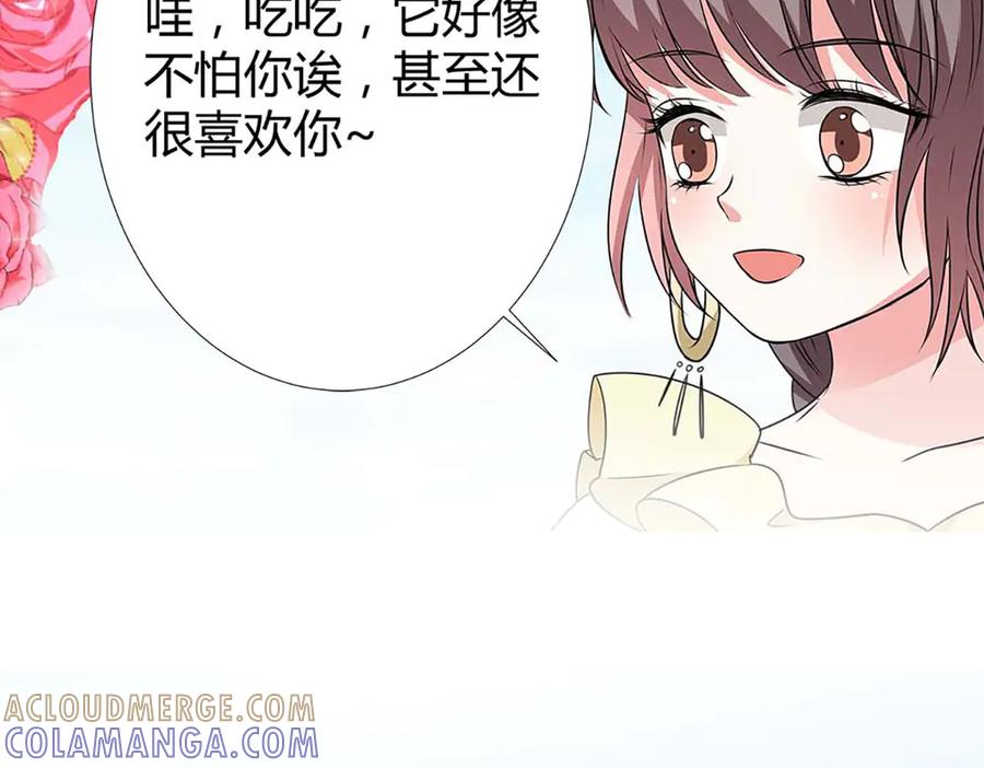 《神兽萌宠》第67话 第19页