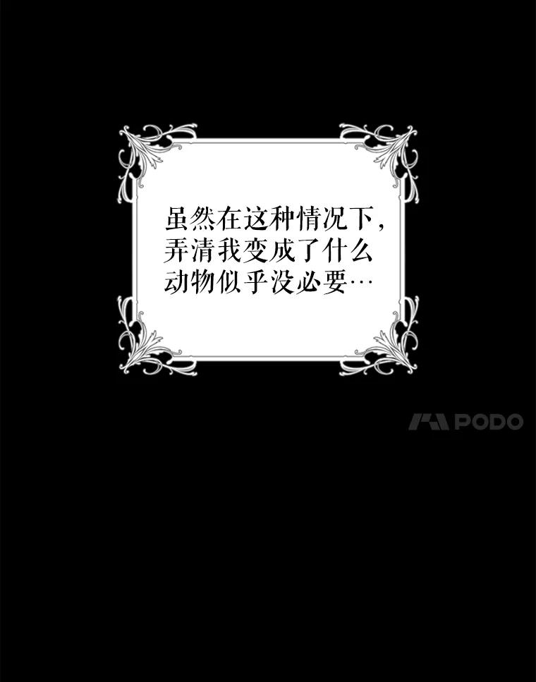只需轻握我的手 18.梦世界坍塌 第84页