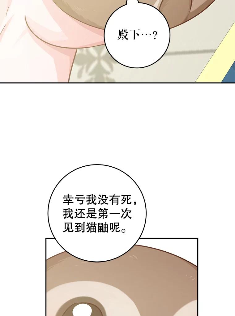 只需轻握我的手 18.梦世界坍塌 第102页