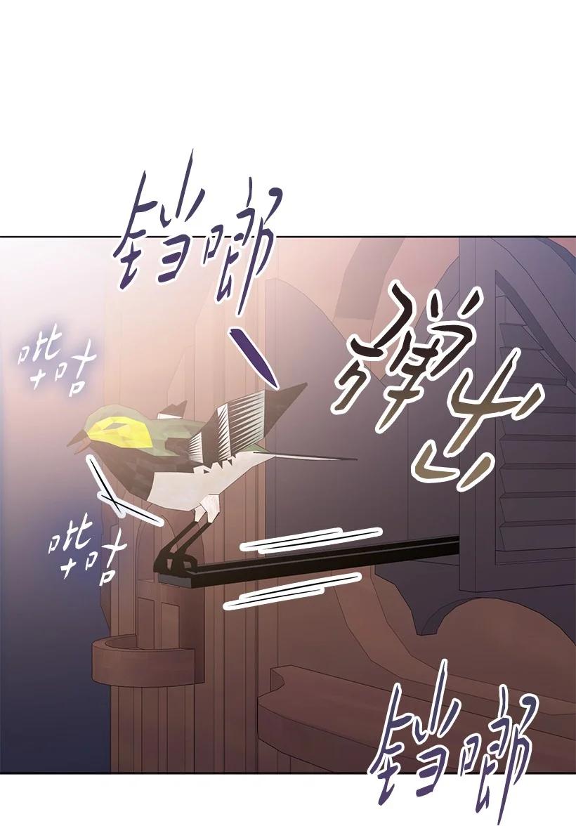 《王的贡女》番外47 加冕仪式 第30页