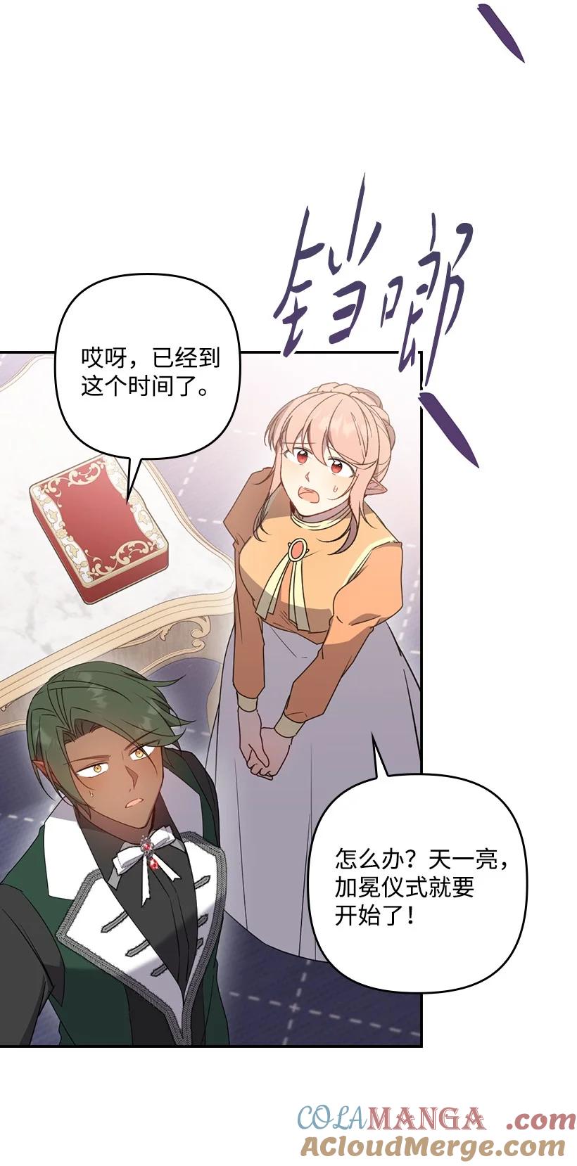 《王的贡女》番外47 加冕仪式 第31页