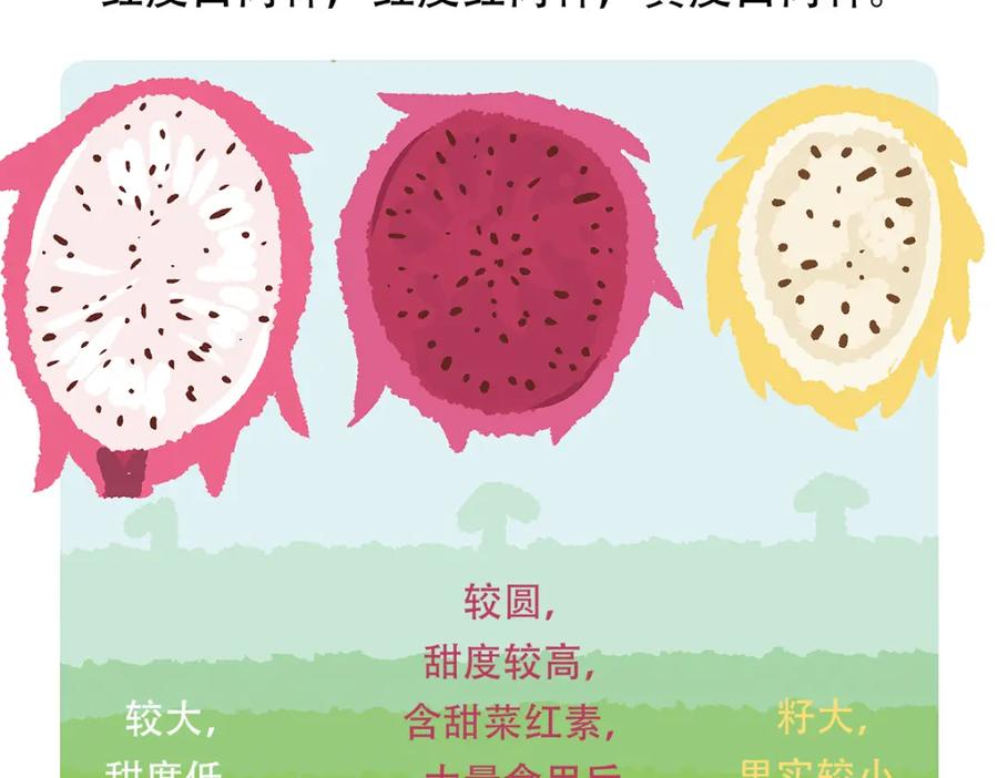 《胖达x胖达》第78话 第30页