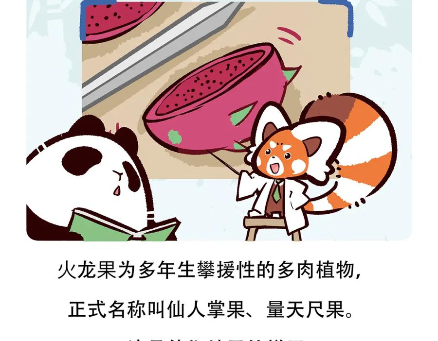 《胖达x胖达》第78话 第28页