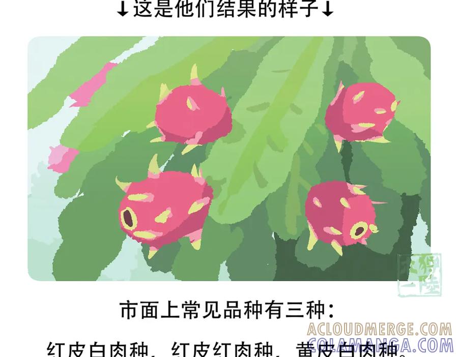 《胖达x胖达》第78话 第29页