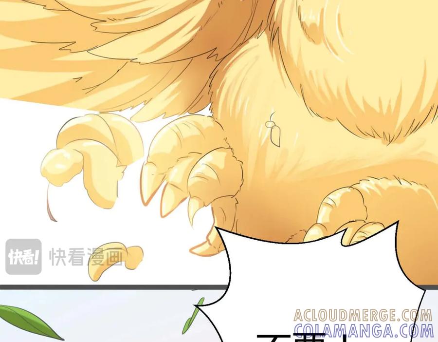 《神兽萌宠》第63话 第19页