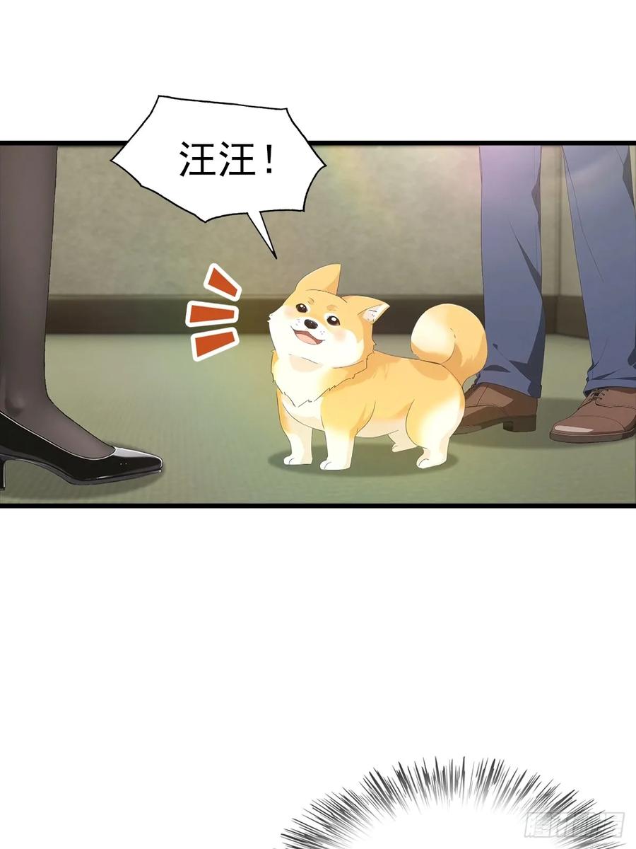 《都市圣手：我即医武巅峰》第133话 老六陆少已上线 第14页