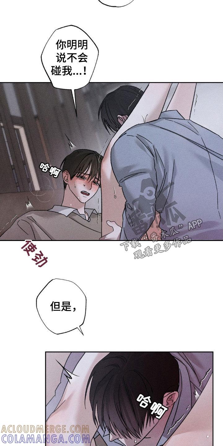 《特写爱意》第33章：慢慢来 第3页