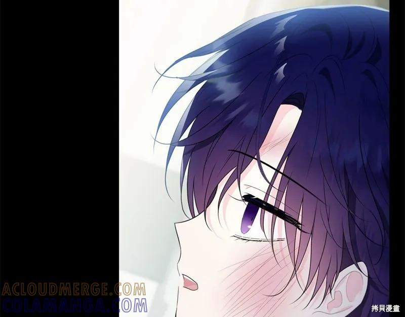 《明明是冷美人小姐却变成了忠犬大少爷》第95话 第213页