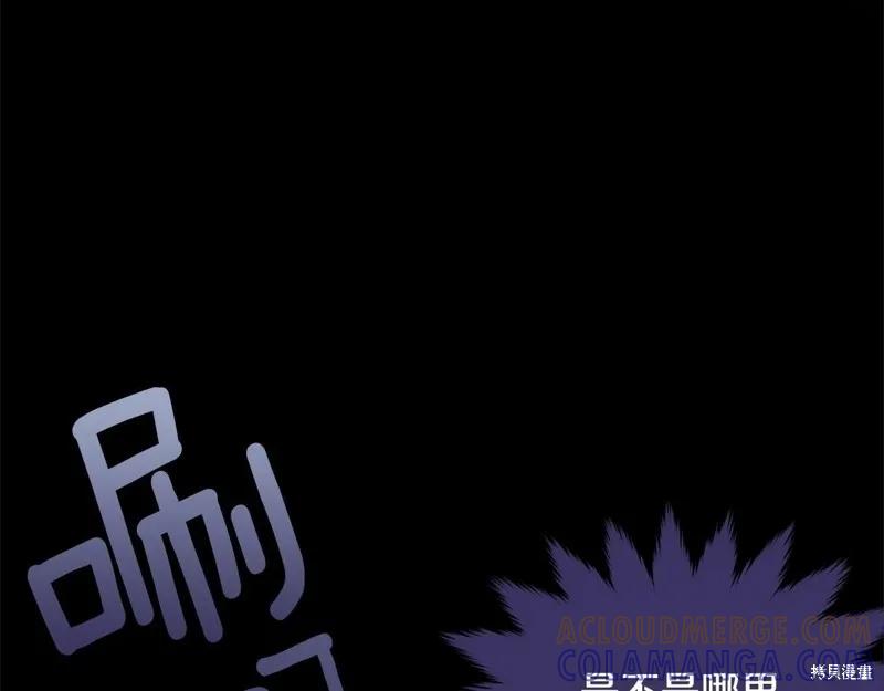 《明明是冷美人小姐却变成了忠犬大少爷》第95话 第113页
