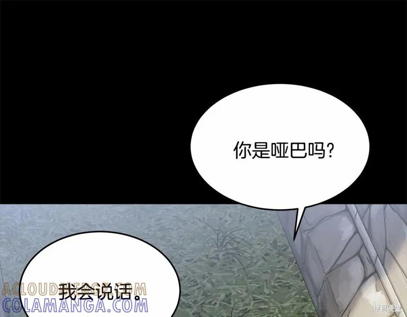 《明明是冷美人小姐却变成了忠犬大少爷》第95话 第209页