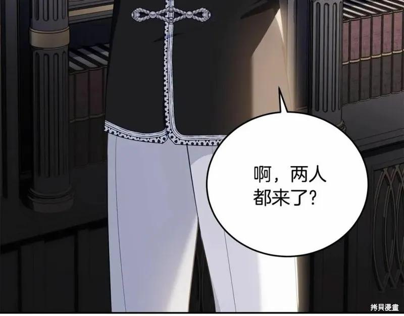 《明明是冷美人小姐却变成了忠犬大少爷》第100话 第216页